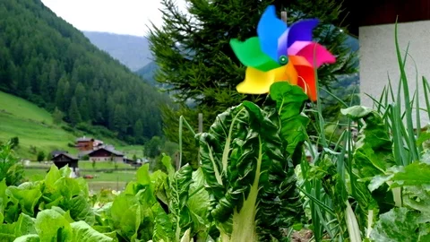 Wind wheel on a vegetable garden. Pure ecology Stock Footage 79159732