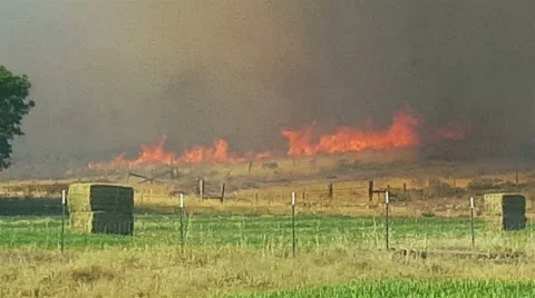 Wind whips flames of wildfire out of control as it approaches farms and fields Video stock 51964458