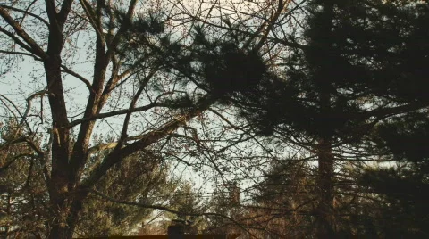 Wind3 Video stock 326593