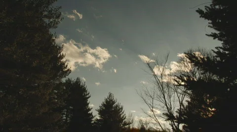 Wind4 Video stock 326594