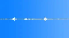 Wind_Blasts_Medium_Light_Birdsong_Night.wavSound Effect