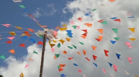 Windblowingsmallfrags2 Stock Footage 11833049
