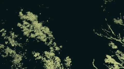 Windblown foliage with dithering effect. Pixel-style animation of tree leaves Stock Footage 309205968