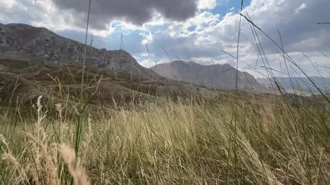 Windblown Grass in Mountain Landscape with Rocky Peaks Stock Footage 343831301
