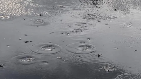 Windblown Icy Pond Vídeos de archivo 328852174