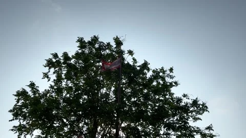 Windblown Old Thai Flag Pole And Silhouette Big Tree With Sunlight Stock Footage 275071441