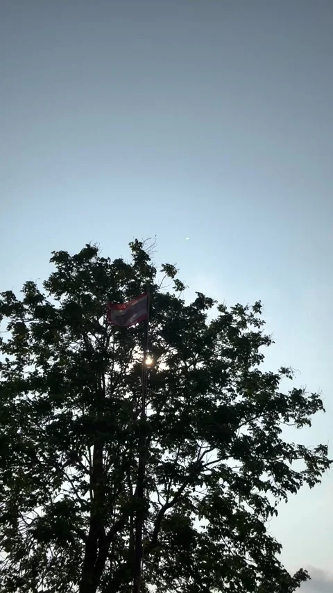 Windblown Old Thai Flag Pole And Silhouette Big Tree With Sunlight Stock Footage 275832261