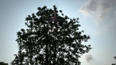 Windblown Old Thai Flag Pole, Silhouette Big Tree, Clouds And Sunlight Stock Footage 275832399