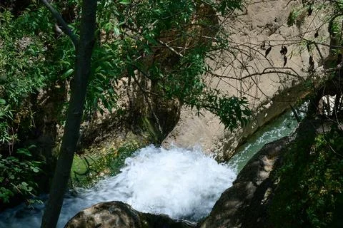 Windbreak and deadwood Ayuna water stream. River Nahal Ayun. Reserve and nati Stock Photos