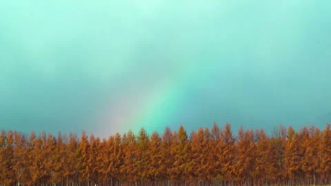 Windbreak and Rainbow 動画素材 332391957