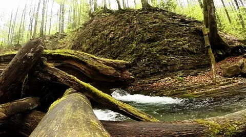 Windbreak and white foam in the pulsating flow of a mountain stream Stock Footage 37338128