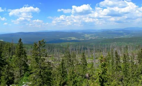 Windbreak Stock Photos