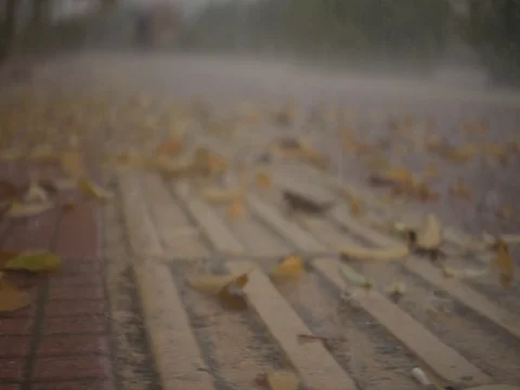 Winder drops Video stock 73343998