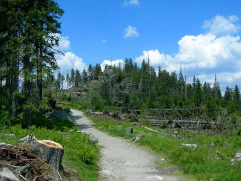 Windfall Stock Photos