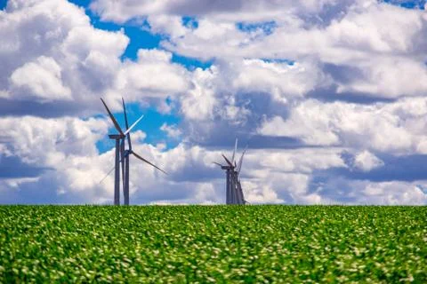 Windfarm In Eastern Oregon Foto stock