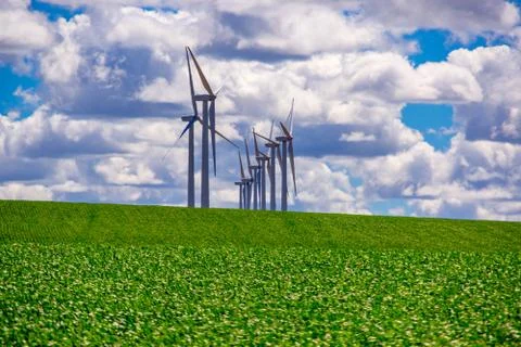 Windfarm In Eastern Oregon Foto stock