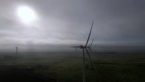 Windfarm Field Stock Stock Footage 169021836