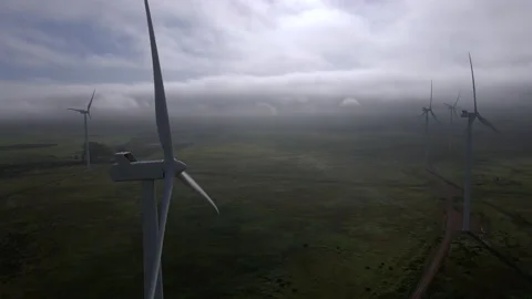 Windfarm Field Stock Stock Footage 169022266