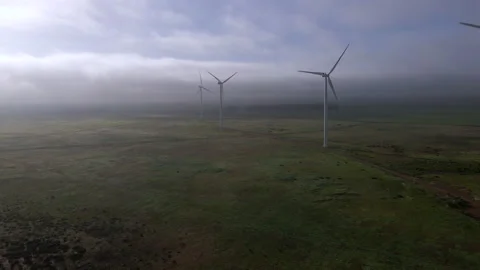 Windfarm Field Stock Stock Footage 169022386