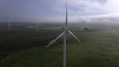 Windfarm Field Stock Stock Footage 169022517