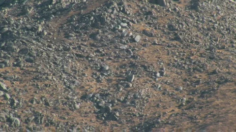 Windfarm Stock Footage 699761