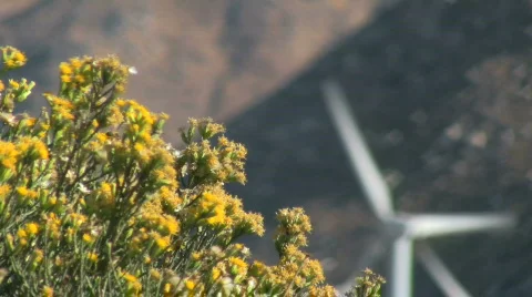 Windfarm Stock Footage 699807