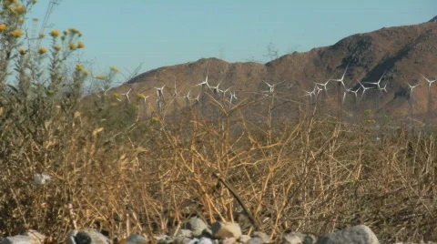 Windfarm Video stock 699836