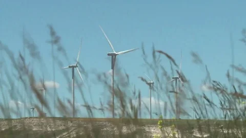 Windfarm general shot Stock Footage 73896574