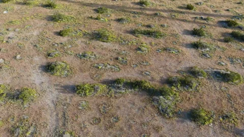 Windfarm Shadows - Drone 4K 스톡 동영상 219347985