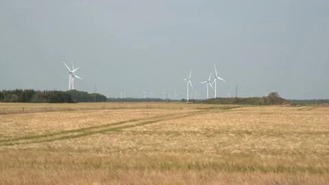 Windfarm turbines in the distance over a field of summer wheat Stock Footage
