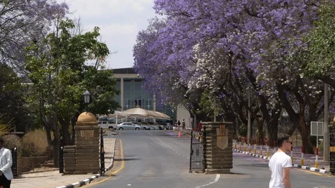 Windhoek street, flowering trees, Namibia, Africa in 4K Stock Footage 90778982