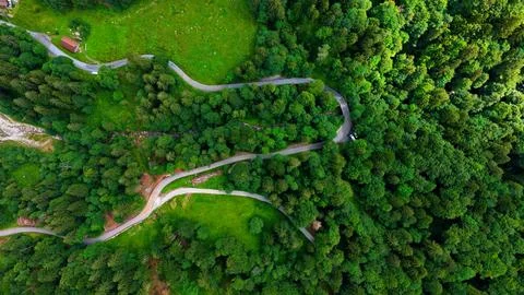 Winding Alpine Roads Through Lush Forest in Switzerland Stock Photos