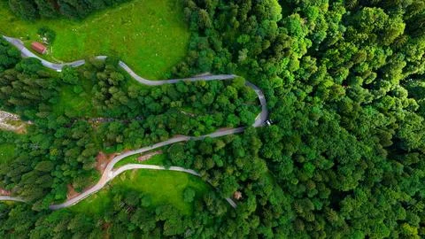 Winding Alpine Roads Through Lush Forest in Switzerland Stock Photos