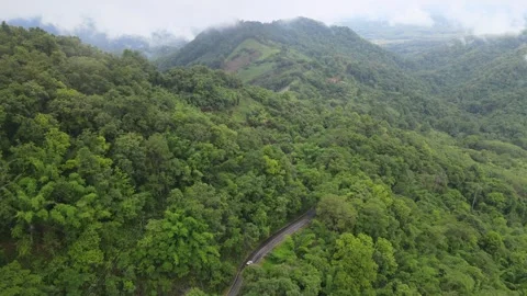 A winding asphalt road through lush tropical mountain forest with morning mist 스톡 동영상 308229796