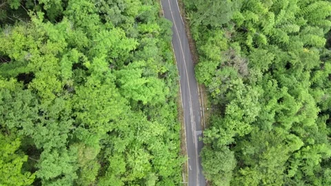 A winding asphalt road through lush tropical mountain forest with morning mist 스톡 동영상 308229800