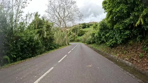 Winding Asphalt Road Through Lush Green Landscape on Flores Island, Azores Video stock 336702274
