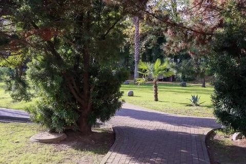 Winding brick path bordered by cypress trees, fan palm, and agave in a sunl.. Stock Photos