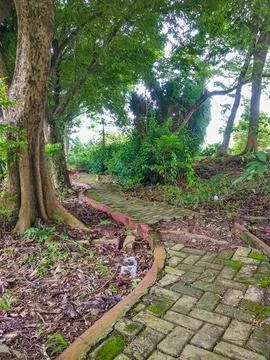 A winding brick path through a lush green park with trees and leafy bushes Stock Photos