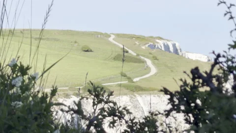 Winding coastal path behind green shrub detail Stock Footage 336513382