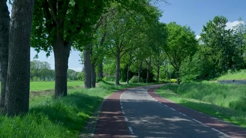 Winding countryside road with a bicycle path surrounded by trees Vidéo 336903186