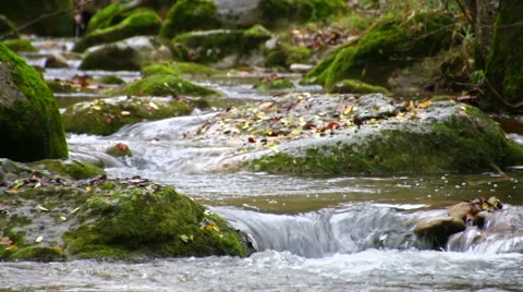 Winding Creek Cascades in Fall Racking Focus Video stock 44533633