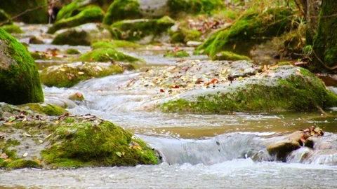 Winding Creek Cascades in Fall Racking Focus Stock Footage 88142513