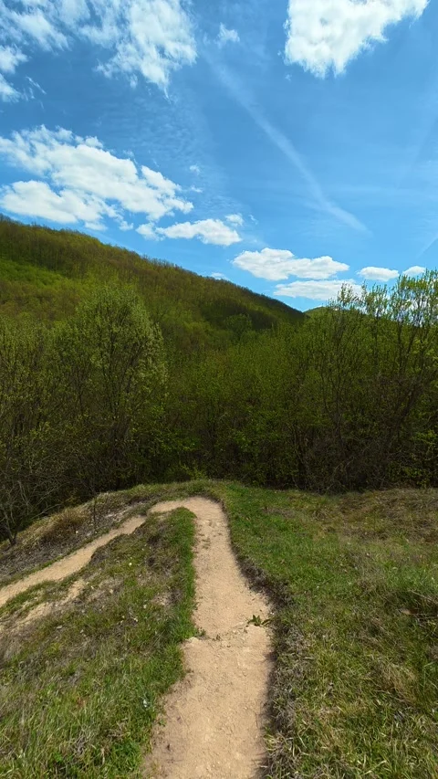 Winding dirt path cuts through grass. Vertical POV, Balkan, Eastern Europe 库存影片 333699903