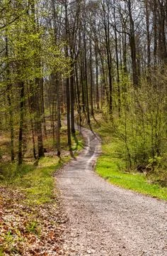A winding dirt path cuts through the lush deciduous forest Stock Photos