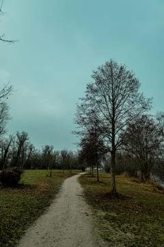 A winding dirt path leads through a park on an overcast winter day, lined wit Stock Photos