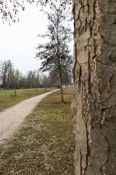 A winding dirt path leads through a park on an overcast day, framed by a text Stock Photos