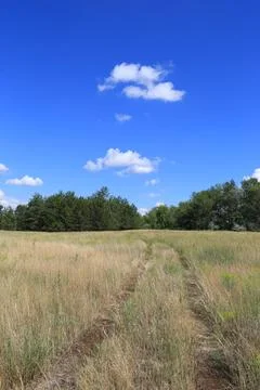 A winding dirt path leads through a dry grassy field towards a distant forest Stock Photos