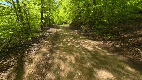 Winding dirt path meanders through dense forest. Ovcar Kalbar Gorge, Serbia Video stock 333841861