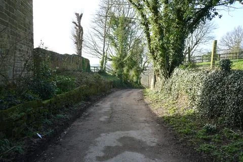 Winding Dirt Path Through Ancient Woodland And Stone Walls In Wessington, Stock-Fotos