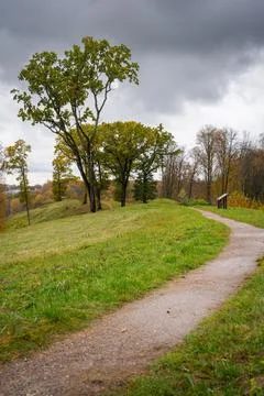 Winding dirt path through grassy hill with trees under stormy sky Foto stock